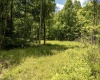 Lot 21 Lake Island Drive, Belington, West Virginia 26250, 0 , 0 ,0,Lots/land,For Sale,Lake Island,0,10165786