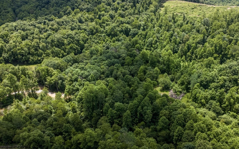 Lot 21 Lake Island Drive, Belington, West Virginia 26250, 0 , 0 ,0,Lots/land,For Sale,Lake Island,0,10165786