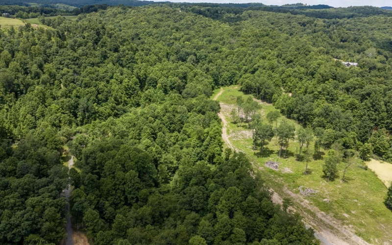 Lot 22 Lake Island Drive, Belington, West Virginia 26250, 0 , 0 ,0,Lots/land,For Sale,Lake Island,0,10165787