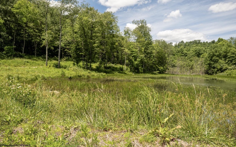 Lot 22 Lake Island Drive, Belington, West Virginia 26250, 0 , 0 ,0,Lots/land,For Sale,Lake Island,0,10165787