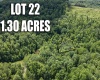 Lot 22 Lake Island Drive, Belington, West Virginia 26250, 0 , 0 ,0,Lots/land,For Sale,Lake Island,0,10165787