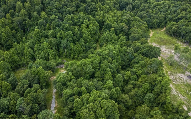 Lot 22 Lake Island Drive, Belington, West Virginia 26250, 0 , 0 ,0,Lots/land,For Sale,Lake Island,0,10165787