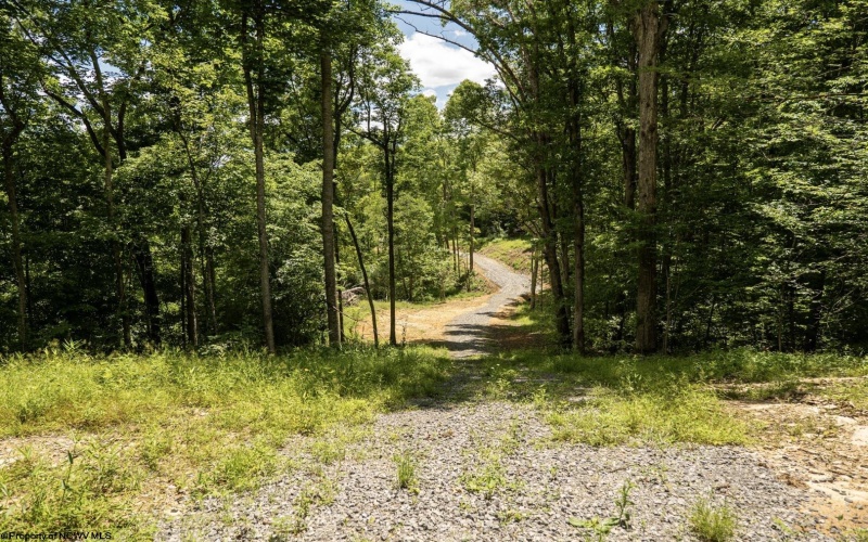 Lot 23 Lake Island Drive, Belington, West Virginia 26250, 0 , 0 ,0,Lots/land,For Sale,Lake Island,0,10165788
