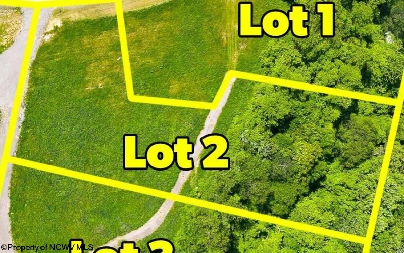 Lot 2 Laurel Run Pisgah Road, Bruceton Mills, West Virginia 26525, 0 , 0 ,0,Lots/land,For Sale,Laurel Run Pisgah,0,10165810