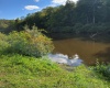 Lots 23-25 Blackwater Canyon Trail Road, Thomas, West Virginia 26292, 0 , 0 ,0,Lots/land,For Sale,Blackwater Canyon Trail,0,10165866