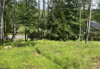 Lots 23-25 Blackwater Canyon Trail Road, Thomas, West Virginia 26292, 0 , 0 ,0,Lots/land,For Sale,Blackwater Canyon Trail,0,10165866