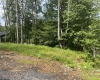 Lots 23-25 Blackwater Canyon Trail Road, Thomas, West Virginia 26292, 0 , 0 ,0,Lots/land,For Sale,Blackwater Canyon Trail,0,10165866