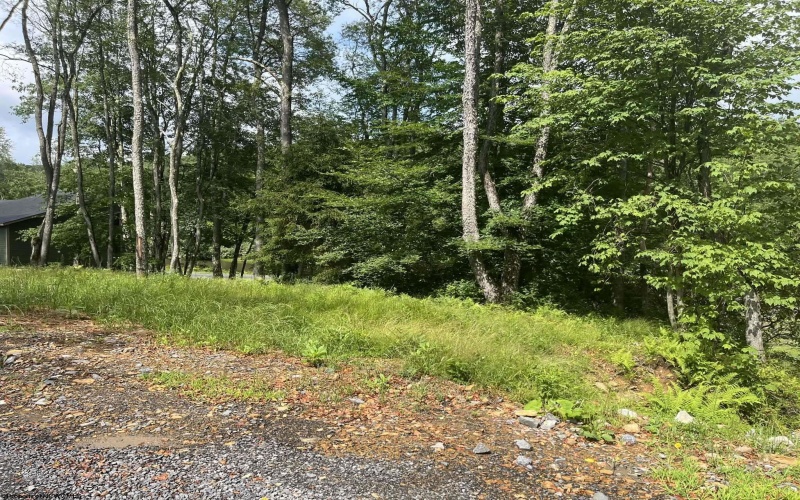 Lots 23-25 Blackwater Canyon Trail Road, Thomas, West Virginia 26292, 0 , 0 ,0,Lots/land,For Sale,Blackwater Canyon Trail,0,10165866