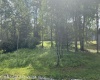 Lots 23-25 Blackwater Canyon Trail Road, Thomas, West Virginia 26292, 0 , 0 ,0,Lots/land,For Sale,Blackwater Canyon Trail,0,10165866