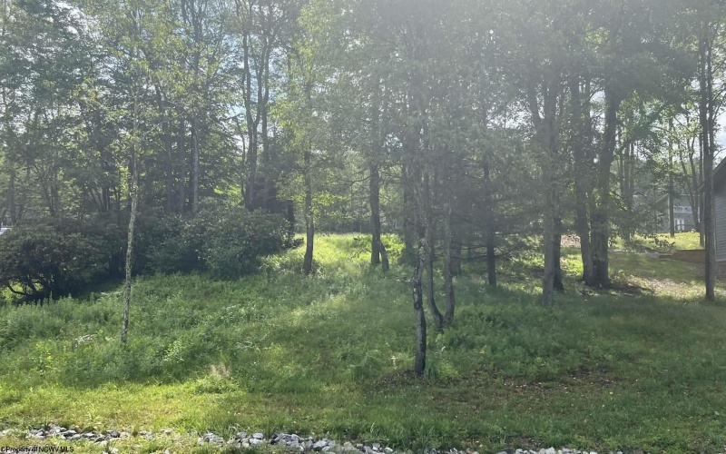 Lots 23-25 Blackwater Canyon Trail Road, Thomas, West Virginia 26292, 0 , 0 ,0,Lots/land,For Sale,Blackwater Canyon Trail,0,10165866