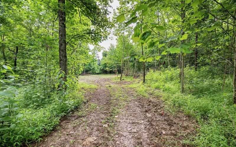 Lot 2 Burnt Cabin Road, Fairmont, West Virginia 26554, 0 , 0 ,0,Lots/land,For Sale,Burnt Cabin,0,10165854 Lot 2 Burnt Cabin Road, Fairmont, West Virginia 26554, 0 , 0 ,0,Lots/land,For Sale,Burnt Cabin,0,10165854