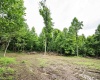 Lot 2 Burnt Cabin Road, Fairmont, West Virginia 26554, 0 , 0 ,0,Lots/land,For Sale,Burnt Cabin,0,10165854 Lot 2 Burnt Cabin Road, Fairmont, West Virginia 26554, 0 , 0 ,0,Lots/land,For Sale,Burnt Cabin,0,10165854