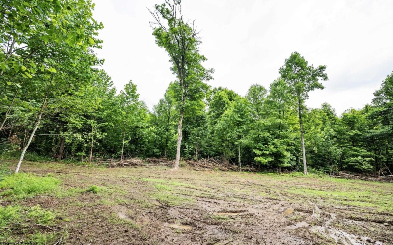 Lot 2 Burnt Cabin Road, Fairmont, West Virginia 26554, 0 , 0 ,0,Lots/land,For Sale,Burnt Cabin,0,10165854 Lot 2 Burnt Cabin Road, Fairmont, West Virginia 26554, 0 , 0 ,0,Lots/land,For Sale,Burnt Cabin,0,10165854