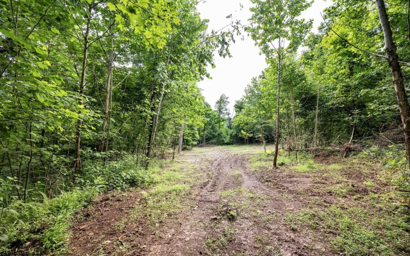 Lot 2 Burnt Cabin Road, Fairmont, West Virginia 26554, 0 , 0 ,0,Lots/land,For Sale,Burnt Cabin,0,10165854 Lot 2 Burnt Cabin Road, Fairmont, West Virginia 26554, 0 , 0 ,0,Lots/land,For Sale,Burnt Cabin,0,10165854