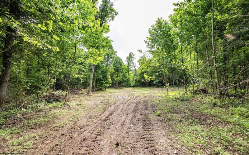 Lot 2 Burnt Cabin Road, Fairmont, West Virginia 26554, 0 , 0 ,0,Lots/land,For Sale,Burnt Cabin,0,10165854 Lot 2 Burnt Cabin Road, Fairmont, West Virginia 26554, 0 , 0 ,0,Lots/land,For Sale,Burnt Cabin,0,10165854