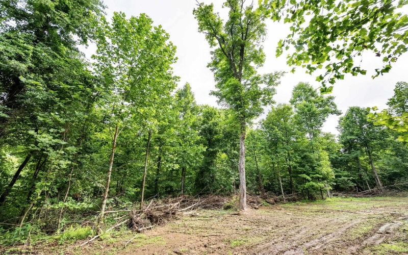 Lot 2 Burnt Cabin Road, Fairmont, West Virginia 26554, 0 , 0 ,0,Lots/land,For Sale,Burnt Cabin,0,10165854 Lot 2 Burnt Cabin Road, Fairmont, West Virginia 26554, 0 , 0 ,0,Lots/land,For Sale,Burnt Cabin,0,10165854