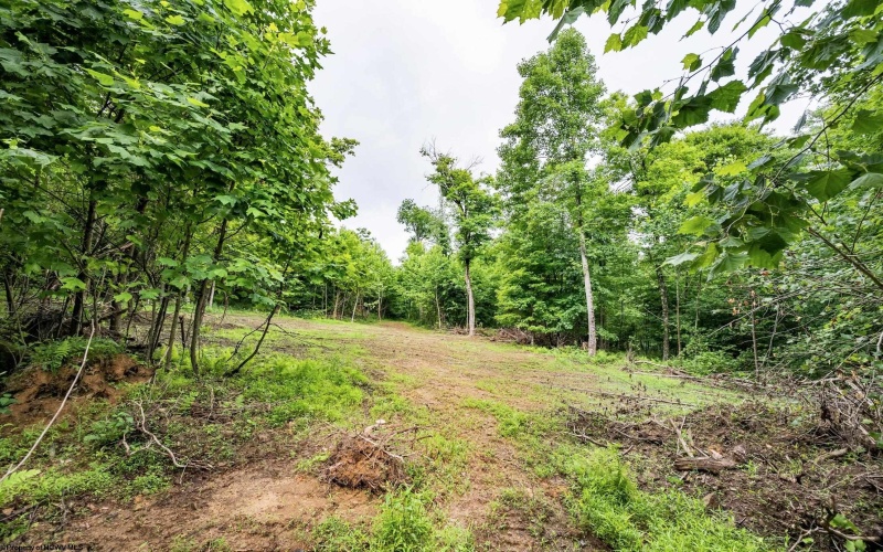 Lot 2 Burnt Cabin Road, Fairmont, West Virginia 26554, 0 , 0 ,0,Lots/land,For Sale,Burnt Cabin,0,10165854 Lot 2 Burnt Cabin Road, Fairmont, West Virginia 26554, 0 , 0 ,0,Lots/land,For Sale,Burnt Cabin,0,10165854