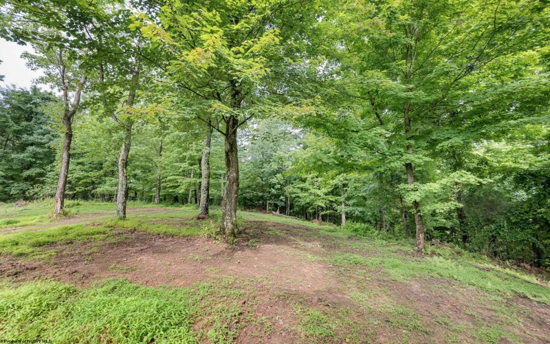 Lot 3 Burnt Cabin Road, Fairmont, West Virginia 26554, 0 , 0 ,0,Lots/land,For Sale,Burnt Cabin,0,10165855