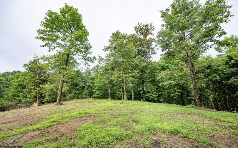 Lot 3 Burnt Cabin Road, Fairmont, West Virginia 26554, 0 , 0 ,0,Lots/land,For Sale,Burnt Cabin,0,10165855