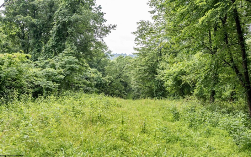 Lot 3 Burnt Cabin Road, Fairmont, West Virginia 26554, 0 , 0 ,0,Lots/land,For Sale,Burnt Cabin,0,10165855
