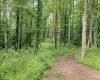 Lot 3 Burnt Cabin Road, Fairmont, West Virginia 26554, 0 , 0 ,0,Lots/land,For Sale,Burnt Cabin,0,10165855