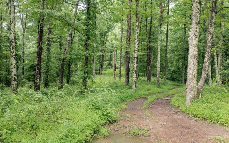 Lot 3 Burnt Cabin Road, Fairmont, West Virginia 26554, 0 , 0 ,0,Lots/land,For Sale,Burnt Cabin,0,10165855