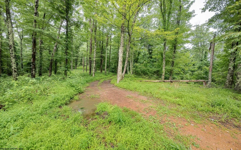 Lot 3 Burnt Cabin Road, Fairmont, West Virginia 26554, 0 , 0 ,0,Lots/land,For Sale,Burnt Cabin,0,10165855