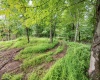 Lot 3 Burnt Cabin Road, Fairmont, West Virginia 26554, 0 , 0 ,0,Lots/land,For Sale,Burnt Cabin,0,10165855