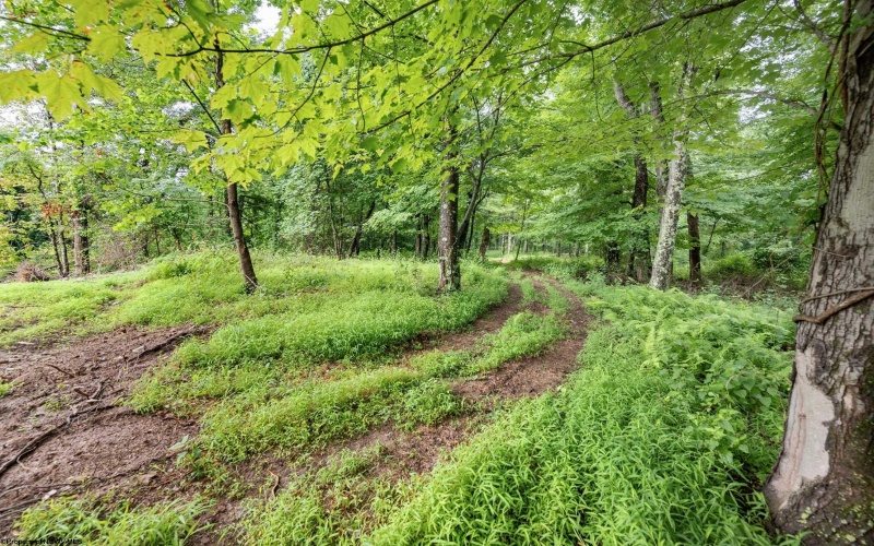 Lot 3 Burnt Cabin Road, Fairmont, West Virginia 26554, 0 , 0 ,0,Lots/land,For Sale,Burnt Cabin,0,10165855