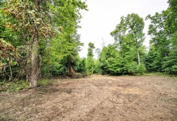 Lot 4 Burnt Cabin Road, Fairmont, West Virginia 26554, 0 , 0 ,0,Lots/land,For Sale,Burnt Cabin,0,10165856