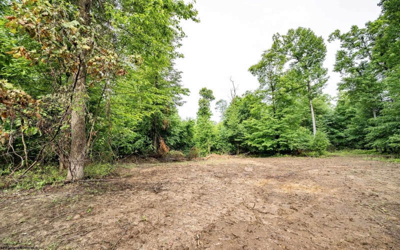 Lot 4 Burnt Cabin Road, Fairmont, West Virginia 26554, 0 , 0 ,0,Lots/land,For Sale,Burnt Cabin,0,10165856 Lot 4 Burnt Cabin Road, Fairmont, West Virginia 26554, 0 , 0 ,0,Lots/land,For Sale,Burnt Cabin,0,10165856