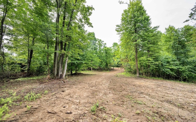 Lot 4 Burnt Cabin Road, Fairmont, West Virginia 26554, 0 , 0 ,0,Lots/land,For Sale,Burnt Cabin,0,10165856 Lot 4 Burnt Cabin Road, Fairmont, West Virginia 26554, 0 , 0 ,0,Lots/land,For Sale,Burnt Cabin,0,10165856