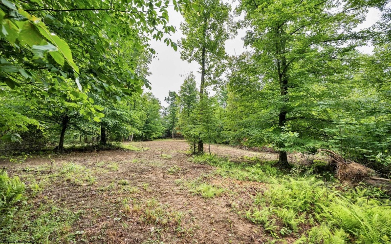 Lot 4 Burnt Cabin Road, Fairmont, West Virginia 26554, 0 , 0 ,0,Lots/land,For Sale,Burnt Cabin,0,10165856 Lot 4 Burnt Cabin Road, Fairmont, West Virginia 26554, 0 , 0 ,0,Lots/land,For Sale,Burnt Cabin,0,10165856