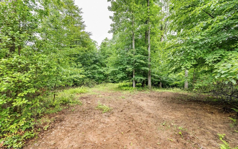 Lot 4 Burnt Cabin Road, Fairmont, West Virginia 26554, 0 , 0 ,0,Lots/land,For Sale,Burnt Cabin,0,10165856 Lot 4 Burnt Cabin Road, Fairmont, West Virginia 26554, 0 , 0 ,0,Lots/land,For Sale,Burnt Cabin,0,10165856