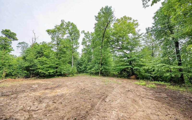 Lot 4 Burnt Cabin Road, Fairmont, West Virginia 26554, 0 , 0 ,0,Lots/land,For Sale,Burnt Cabin,0,10165856 Lot 4 Burnt Cabin Road, Fairmont, West Virginia 26554, 0 , 0 ,0,Lots/land,For Sale,Burnt Cabin,0,10165856