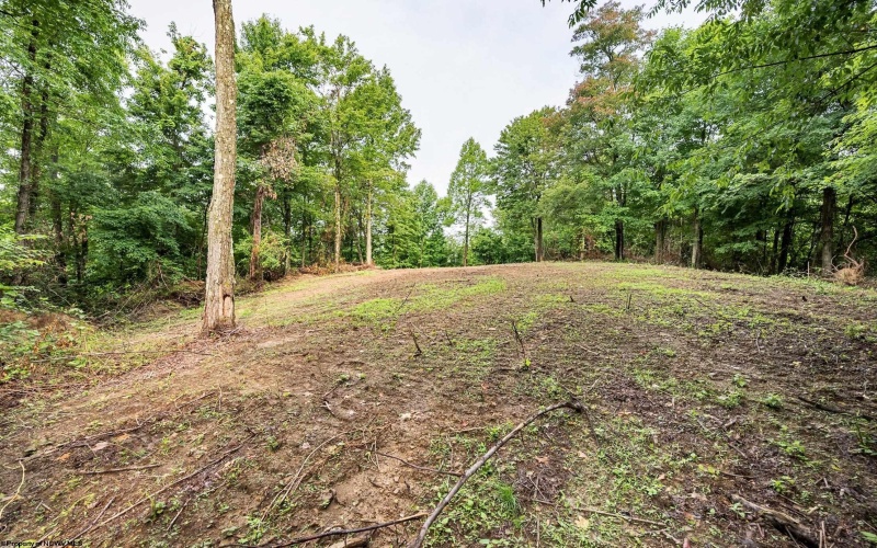 Lot 5 Burnt Cabin Road, Fairmont, West Virginia 26554, 0 , 0 ,0,Lots/land,For Sale,Burnt Cabin,0,10165857