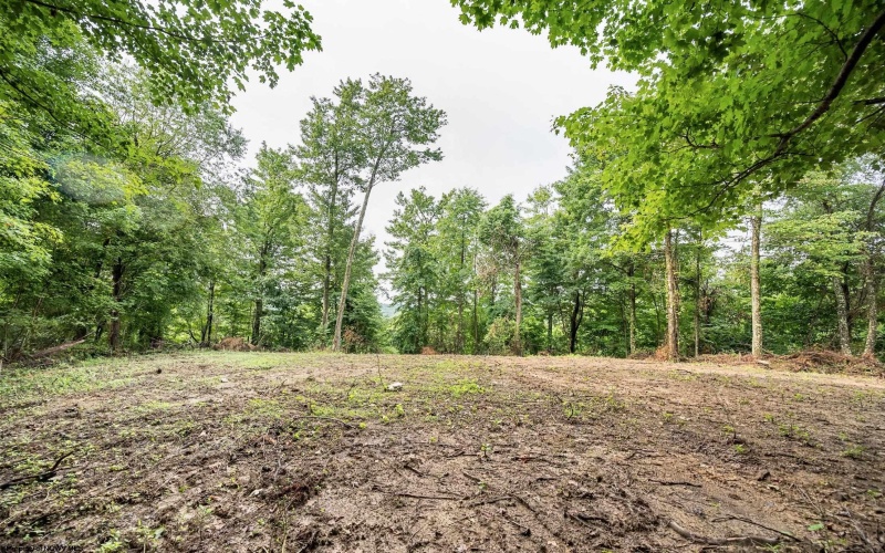 Lot 5 Burnt Cabin Road, Fairmont, West Virginia 26554, 0 , 0 ,0,Lots/land,For Sale,Burnt Cabin,0,10165857