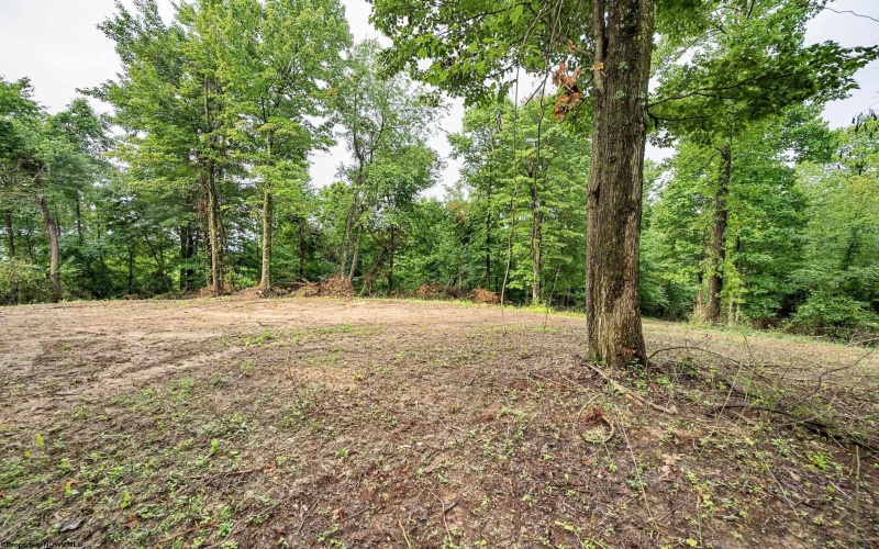 Lot 5 Burnt Cabin Road, Fairmont, West Virginia 26554, 0 , 0 ,0,Lots/land,For Sale,Burnt Cabin,0,10165857