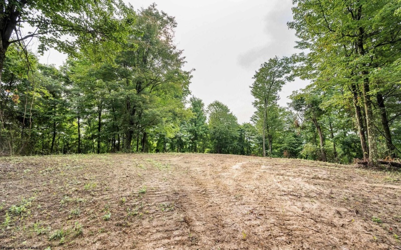 Lot 5 Burnt Cabin Road, Fairmont, West Virginia 26554, 0 , 0 ,0,Lots/land,For Sale,Burnt Cabin,0,10165857