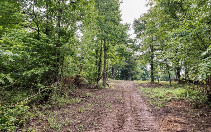 Lot 5 Burnt Cabin Road, Fairmont, West Virginia 26554, 0 , 0 ,0,Lots/land,For Sale,Burnt Cabin,0,10165857
