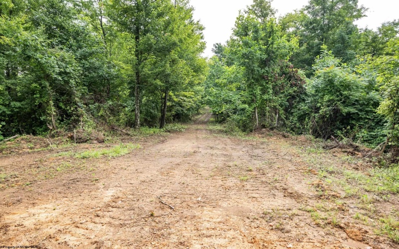 Lot 5 Burnt Cabin Road, Fairmont, West Virginia 26554, 0 , 0 ,0,Lots/land,For Sale,Burnt Cabin,0,10165857