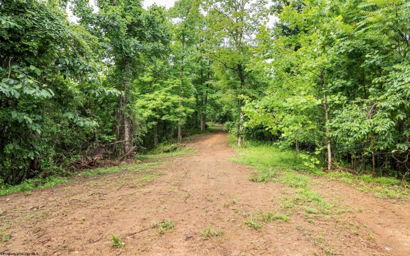 Lot 5 Burnt Cabin Road, Fairmont, West Virginia 26554, 0 , 0 ,0,Lots/land,For Sale,Burnt Cabin,0,10165857
