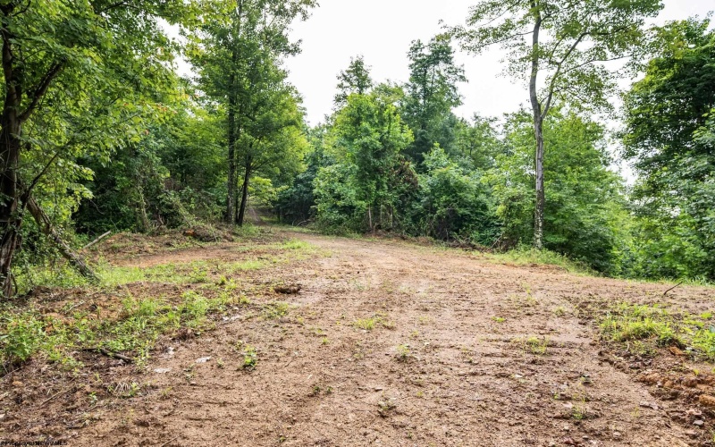 Lot 5 Burnt Cabin Road, Fairmont, West Virginia 26554, 0 , 0 ,0,Lots/land,For Sale,Burnt Cabin,0,10165857