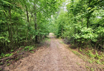 Lot 5 Burnt Cabin Road, Fairmont, West Virginia 26554, 0 , 0 ,0,Lots/land,For Sale,Burnt Cabin,0,10165857