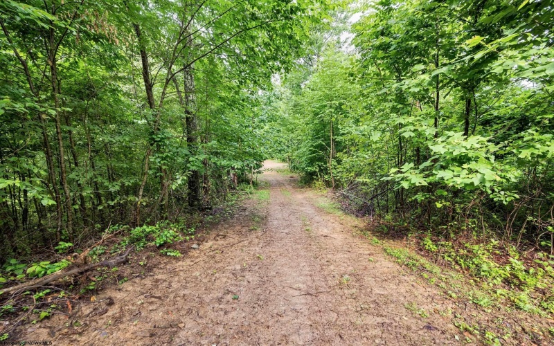 Lot 5 Burnt Cabin Road, Fairmont, West Virginia 26554, 0 , 0 ,0,Lots/land,For Sale,Burnt Cabin,0,10165857