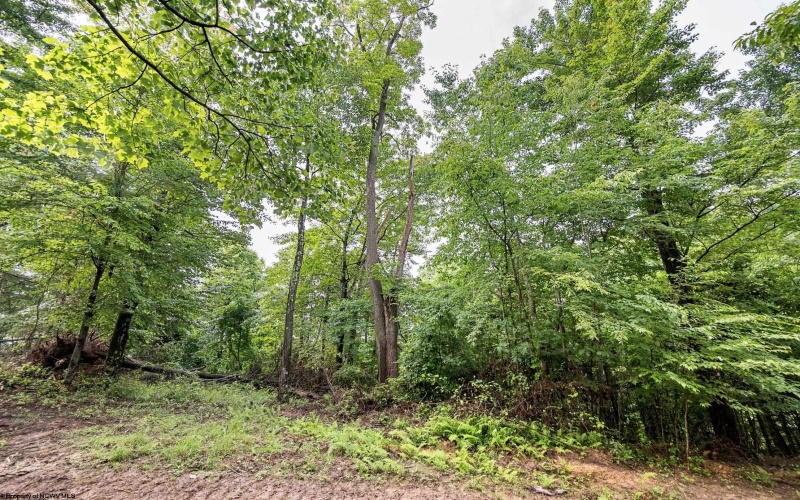 Lot 5 Burnt Cabin Road, Fairmont, West Virginia 26554, 0 , 0 ,0,Lots/land,For Sale,Burnt Cabin,0,10165857