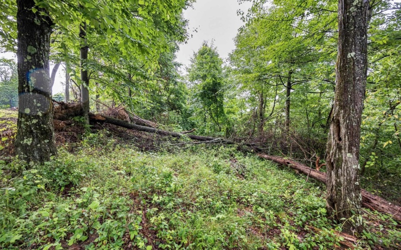 Lot 5 Burnt Cabin Road, Fairmont, West Virginia 26554, 0 , 0 ,0,Lots/land,For Sale,Burnt Cabin,0,10165857