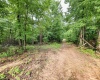 Lot 5 Burnt Cabin Road, Fairmont, West Virginia 26554, 0 , 0 ,0,Lots/land,For Sale,Burnt Cabin,0,10165857