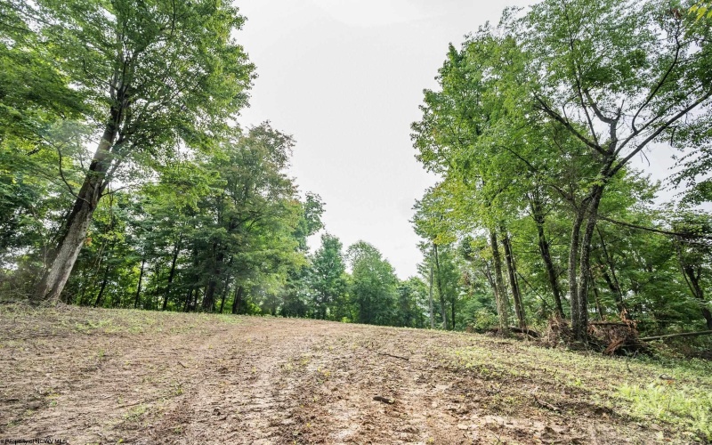 Lot 5 Burnt Cabin Road, Fairmont, West Virginia 26554, 0 , 0 ,0,Lots/land,For Sale,Burnt Cabin,0,10165857