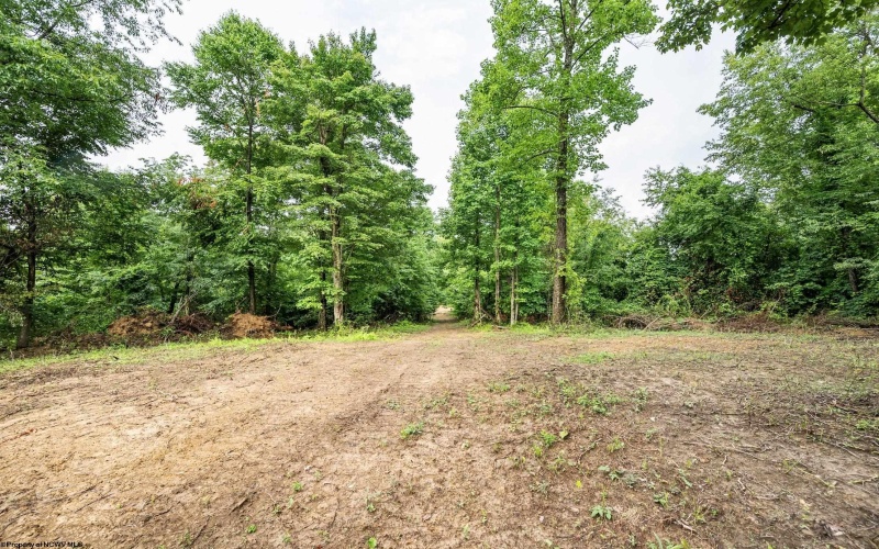 Lot 5 Burnt Cabin Road, Fairmont, West Virginia 26554, 0 , 0 ,0,Lots/land,For Sale,Burnt Cabin,0,10165857